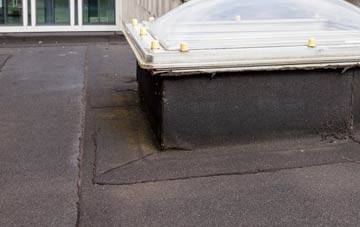 disadvantages of Drummuir flat roofs