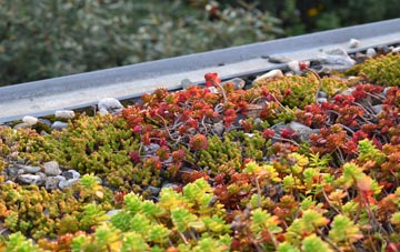 the cost of Drummuir green roof installation