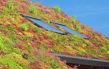Drummuir living roof systems