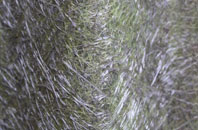 Drummuir fibreglass roof work